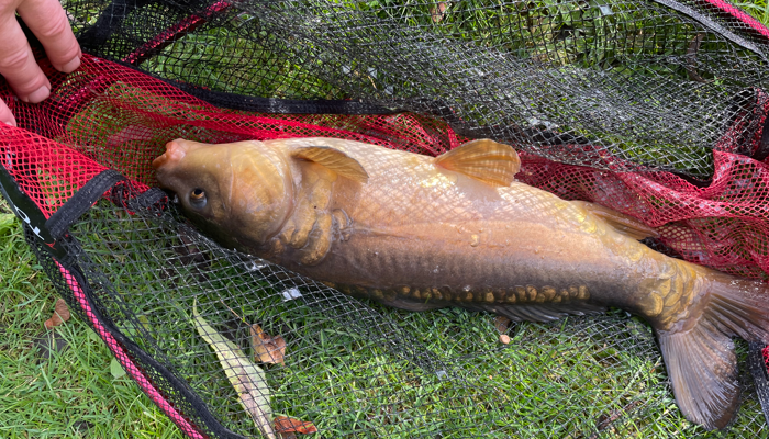 Catch-of-the-Day Novey Goes Fishing - Sherwood Forest Fishery